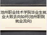 池州职业技术学院毕业生就业大致去向如何(池州职院就业流向)