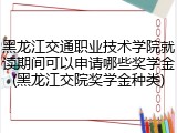 黑龙江交通职业技术学院就读期间可以申请哪些奖学金(黑龙江交院奖学金种类)