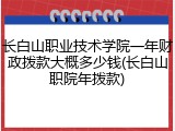 长白山职业技术学院一年财政拨款大概多少钱(长白山职院年拨款)