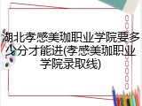 湖北孝感美珈职业学院要多少分才能进(孝感美珈职业学院录取线)