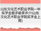 山东文化艺术职业学院一年奖学金最多能拿多少(山东文化艺术职业学院奖学金上限)