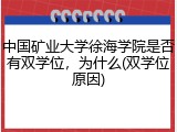 中国矿业大学徐海学院是否有双学位，为什么(双学位原因)