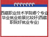 西藏职业技术学院哪个专业毕业就业前景比较好(西藏职院好就业专业)