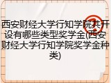 西安财经大学行知学院共开设有哪些类型奖学金(西安财经大学行知学院奖学金种类)