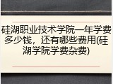 硅湖职业技术学院一年学费多少钱，还有哪些费用(硅湖学院学费杂费)