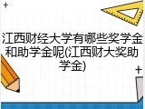 江西财经大学有哪些奖学金和助学金呢(江西财大奖助学金)