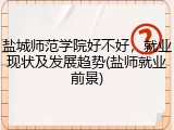 盐城师范学院好不好，就业现状及发展趋势(盐师就业前景)