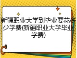 新疆职业大学到毕业要花多少学费(新疆职业大学毕业学费)