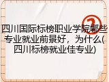 四川国际标榜职业学院哪些专业就业前景好，为什么(四川标榜就业佳专业)