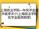 上海政法学院一年奖学金最多能拿多少(上海政法学院奖学金最高额度)
