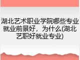 湖北艺术职业学院哪些专业就业前景好，为什么(湖北艺职好就业专业)