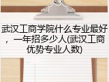 武汉工商学院什么专业最好，一年招多少人(武汉工商优势专业人数)