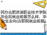 民办合肥滨湖职业技术学院毕业后就业前景怎么样，毕业生去向(合职院就业前景)