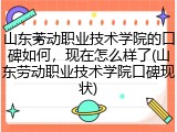山东劳动职业技术学院的口碑如何，现在怎么样了(山东劳动职业技术学院口碑现状)
