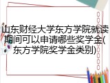 山东财经大学东方学院就读期间可以申请哪些奖学金(东方学院奖学金类别)