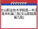 文山职业技术学院是一本还是本科第二批(文山职院属第几批)