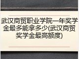 武汉商贸职业学院一年奖学金最多能拿多少(武汉商贸奖学金最高额度)