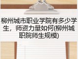 柳州城市职业学院有多少学生，师资力量如何(柳州城职院师生规模)