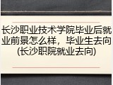 长沙职业技术学院毕业后就业前景怎么样，毕业生去向(长沙职院就业去向)