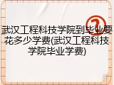 武汉工程科技学院到毕业要花多少学费(武汉工程科技学院毕业学费)