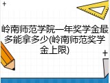 岭南师范学院一年奖学金最多能拿多少(岭南师范奖学金上限)