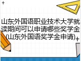 山东外国语职业技术大学就读期间可以申请哪些奖学金(山东外国语奖学金申请)