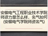 安徽电气工程职业技术学院师资力量怎么样，名气如何(安徽电气学院师资名气)