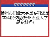 扬州市职业大学是专科还是本科院校呢(扬州职业大学是专科吗)