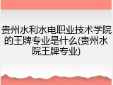 贵州水利水电职业技术学院的王牌专业是什么(贵州水院王牌专业)