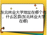 东北林业大学地址在哪个市，什么区县(东北林业大学在哪)