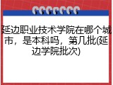 延边职业技术学院在哪个城市，是本科吗，第几批(延边学院批次)