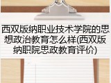 西双版纳职业技术学院的思想政治教育怎么样(西双版纳职院思政教育评价)