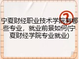 宁夏财经职业技术学院有哪些专业，就业前景如何(宁夏财经学院专业就业)