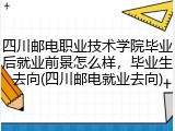 四川邮电职业技术学院毕业后就业前景怎么样，毕业生去向(四川邮电就业去向)