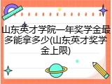 山东英才学院一年奖学金最多能拿多少(山东英才奖学金上限)