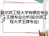 哈尔滨工程大学有哪些专业，王牌专业分析(哈尔滨工程大学王牌专业)