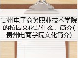 贵州电子商务职业技术学院的校园文化是什么，简介(贵州电商学院文化简介)