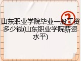 山东职业学院毕业一般工资多少钱(山东职业学院薪资水平)