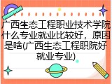 广西生态工程职业技术学院什么专业就业比较好，原因是啥(广西生态工程职院好就业专业)
