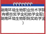 湖南环境生物职业技术学院有哪些奖学金和助学金呢(湖南环境生物职院奖助学金)