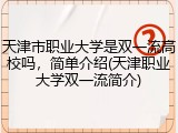 天津市职业大学是双一流高校吗，简单介绍(天津职业大学双一流简介)
