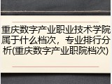 重庆数字产业职业技术学院属于什么档次，专业排行分析(重庆数字产业职院档次)