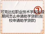 可克达拉职业技术学院在读期间怎么申请助学贷款(在校申请助学贷款)