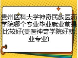 贵州医科大学神奇民族医药学院哪个专业毕业就业前景比较好(贵医神奇学院好就业专业)