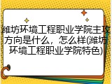 潍坊环境工程职业学院主攻方向是什么，怎么样(潍坊环境工程职业学院特色)