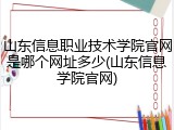 山东信息职业技术学院官网是哪个网址多少(山东信息学院官网)