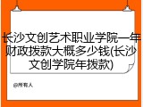 长沙文创艺术职业学院一年财政拨款大概多少钱(长沙文创学院年拨款)