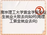南京理工大学紫金学院毕业生就业大致去向如何(南理工紫金就业去向)