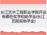 长江艺术工程职业学院开设有哪些奖学和助学金(长江艺院奖助学金)