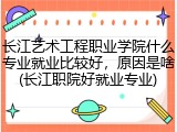 长江艺术工程职业学院什么专业就业比较好，原因是啥(长江职院好就业专业)